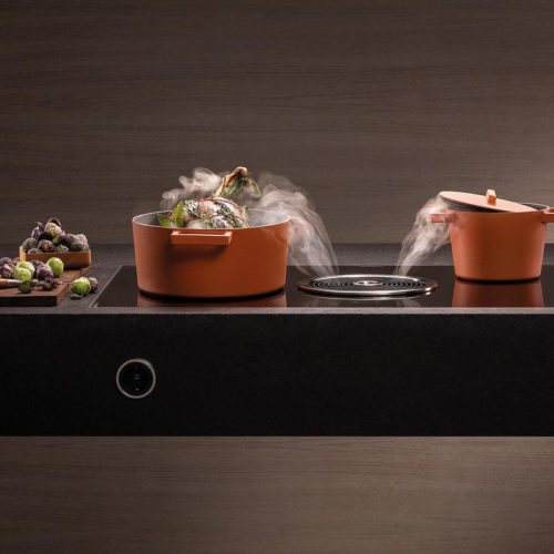 Bora diversiteit 2 inductie